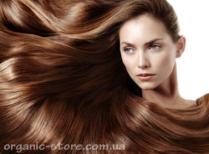 ТОП-5 засобів для відновлення волосся в «Органічній крамниці»